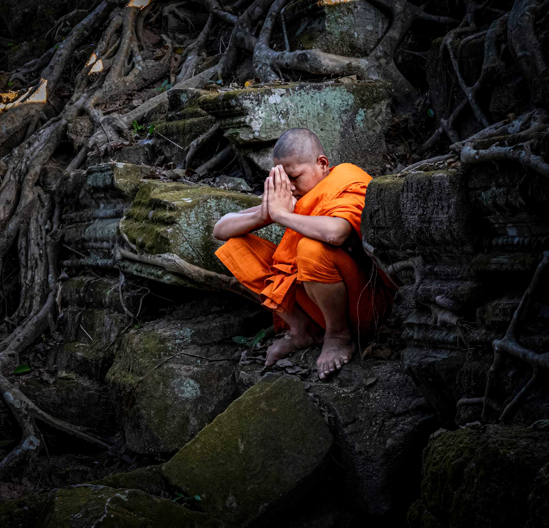 Young monk sitting among tree roots, Cambodia